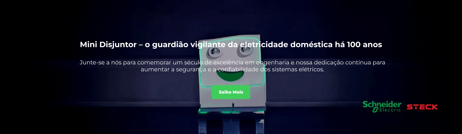 100 anos Steck