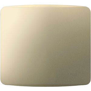 Placa+Suporte 4X4 Cega Dourada Schneider Electric S3B77403