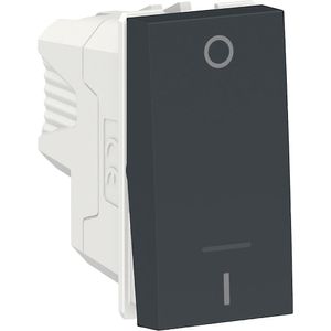 Modulo Interruptor Bipolar Simples 10Ax 250V 1M Gr Schneider Electric S70110294
