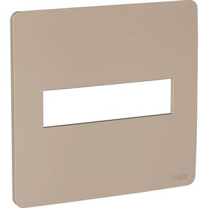 Placa 4X4 2 Postos Bege Schneider Electric S730201064
