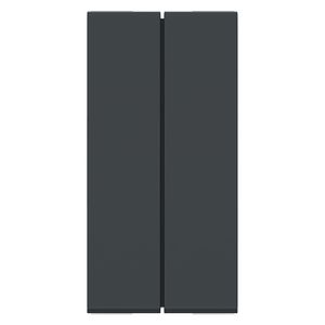 Modulo Duplo Interruptor Simples 10Ax 250V 1M Grafite Schneider Electric S70100194