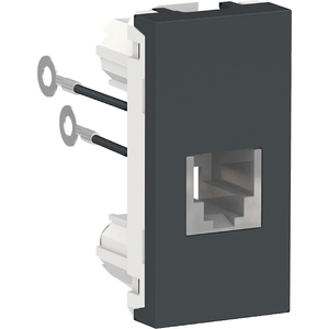 Modulo Tomada Rj11 (2 Fios) 1M Gr S70549094 Schneider Electric S70549094