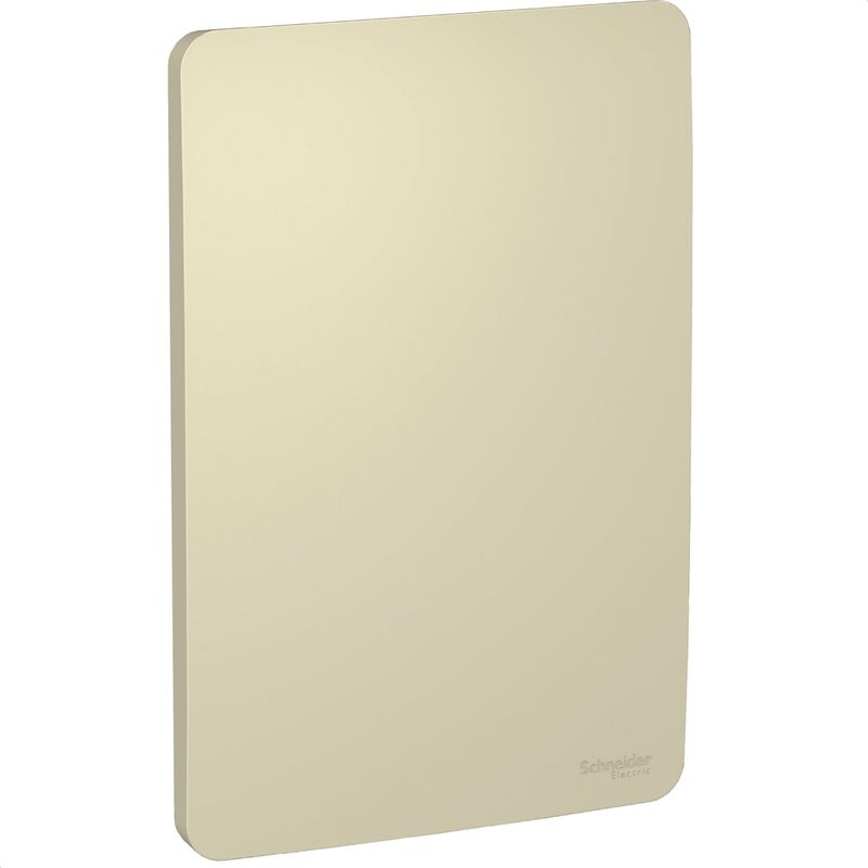 placa_4x2_cega_horizon_gold_dourada_orion_schneider_electric_1101147_000-01
