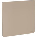 placa_4x4_cega_bege_orion_schneider_electric_1101174_000-01