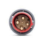 Plugue Shock Tite 3P+T+Pil 200A 380/440V 6H Vm Ip67 Steck S4876W