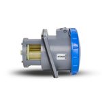 Tomada Embutirut 2P+T 200A 220/240V2 6H Az Steck S3846