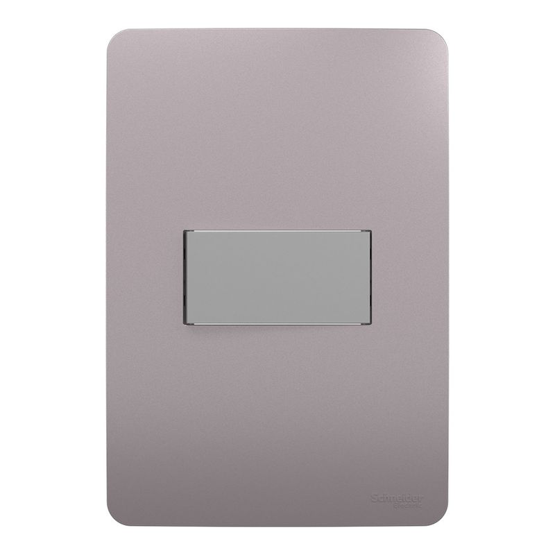 conjunto_interruptor_paralelo_10ax_250v_aluminio_axis_grey_s713103224_000-01