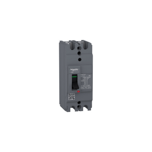 Disjuntor 2P 25A 50Ka 240V Ezc100H2025 Schneider