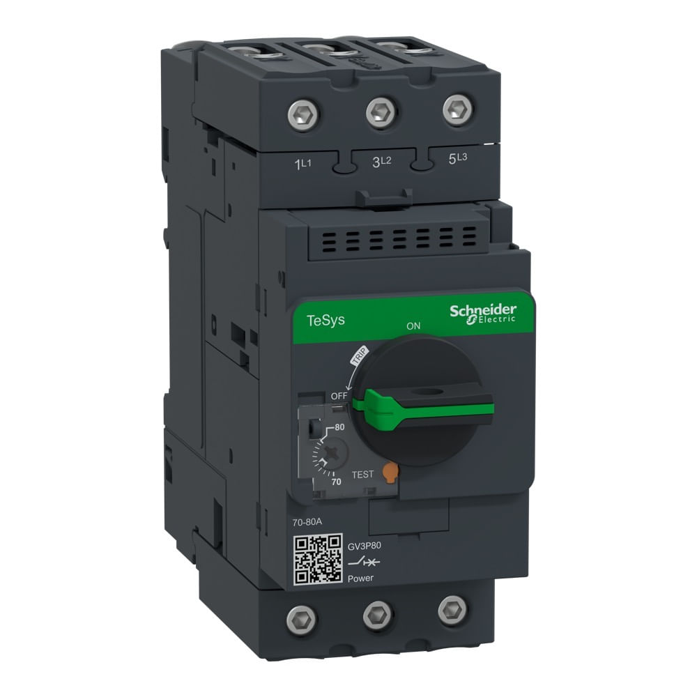 Disjuntor Proteção Motor 70-80A Gv3-P80 Everlink Schneider